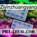 Ziyinzhuangyang 20